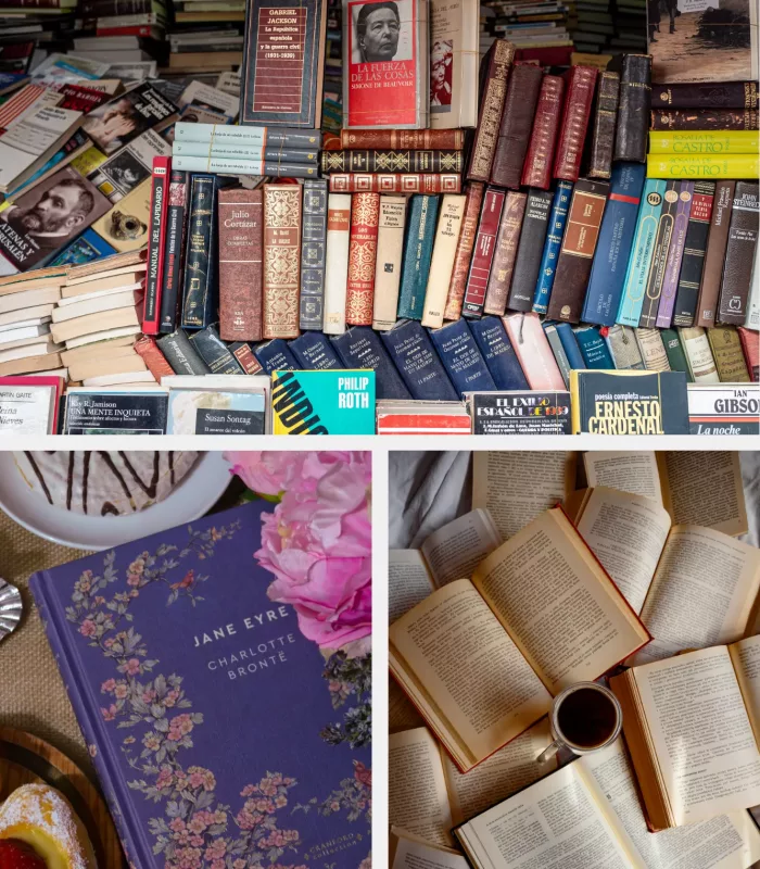 Novels Novels